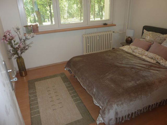 Obrázek k zakázce č.: 476333