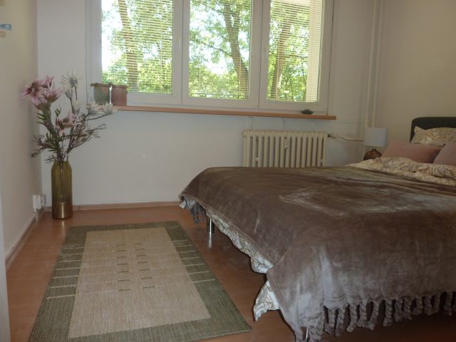 Obrázek k zakázce č.: 476333