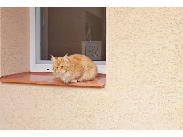 Obrázek k zakázce č.: 607093