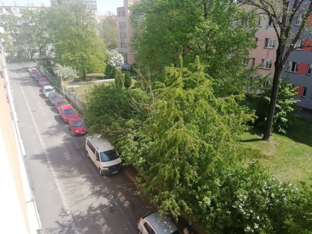 Obrázek k zakázce č.: 603623