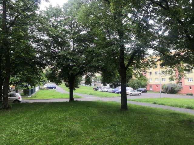 Obrázek k zakázce č.: 568943