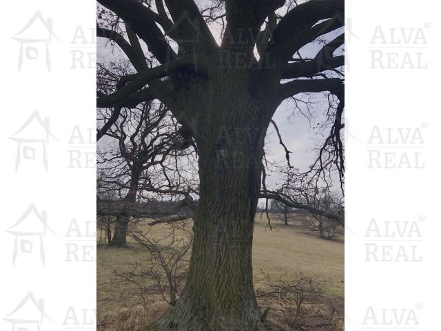 Obrázek k zakázce č.: 678106
