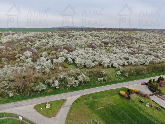 Obrázek k zakázce č.: 714022