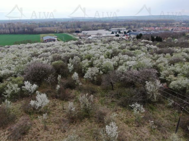 Obrázek k zakázce č.: 714022