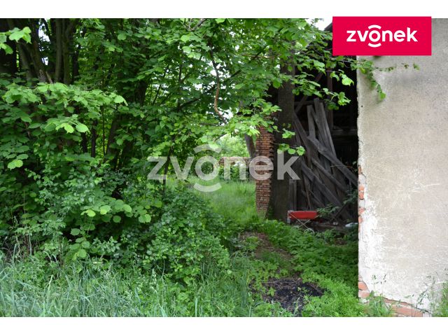 Obrázek k zakázce č.: 716862