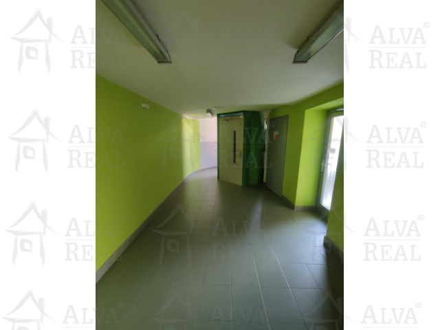 Obrázek k zakázce č.: 715232
