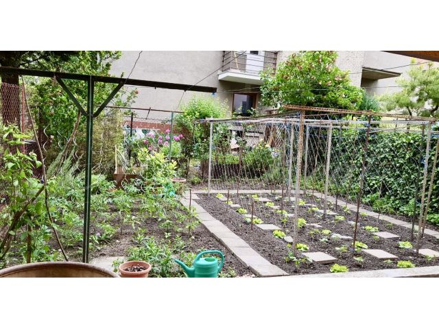 Obrázek k zakázce č.: 728421