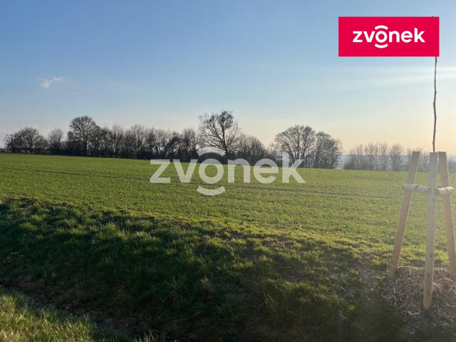 Obrázek k zakázce č.: 729131