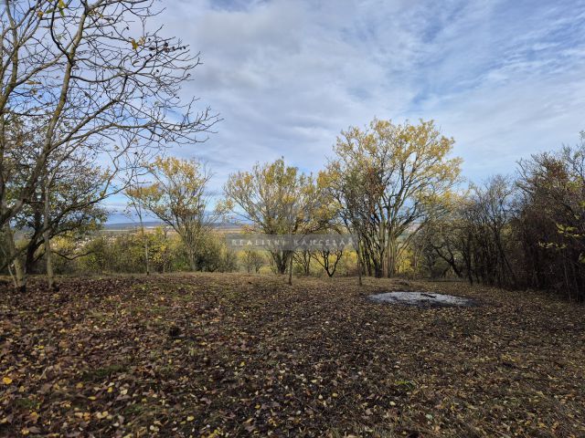 Obrázek k zakázce č.: 723201