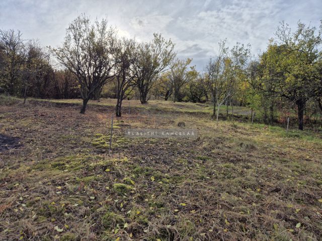 Obrázek k zakázce č.: 723201