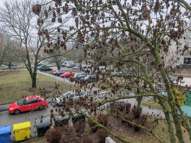 Obrázek k zakázce č.: 680656