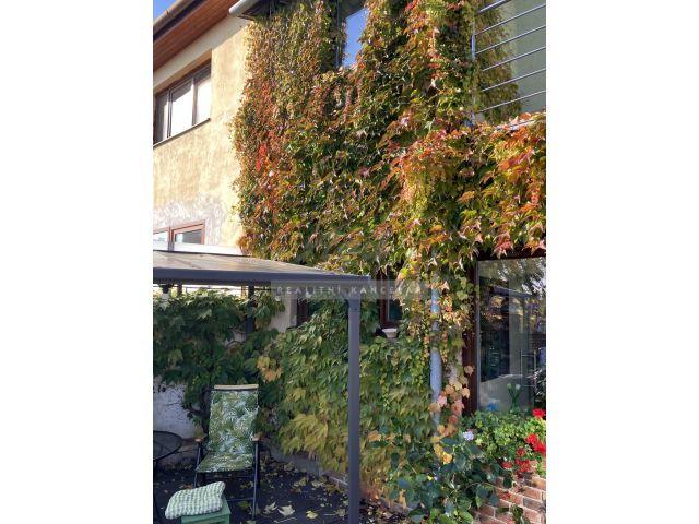 Obrázek k zakázce č.: 728161