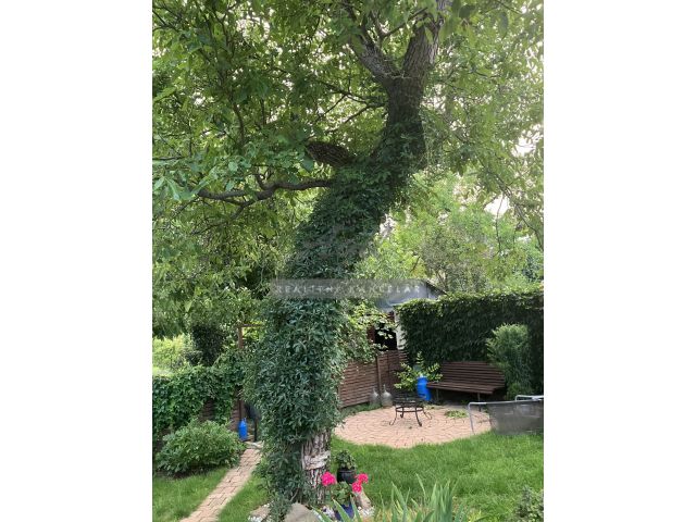 Obrázek k zakázce č.: 728161